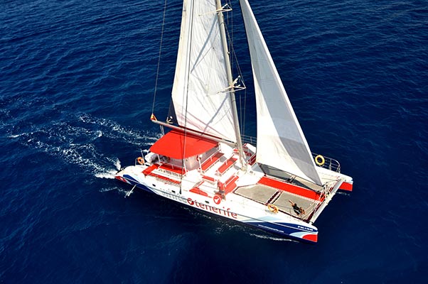 Catamarán White Tenerife