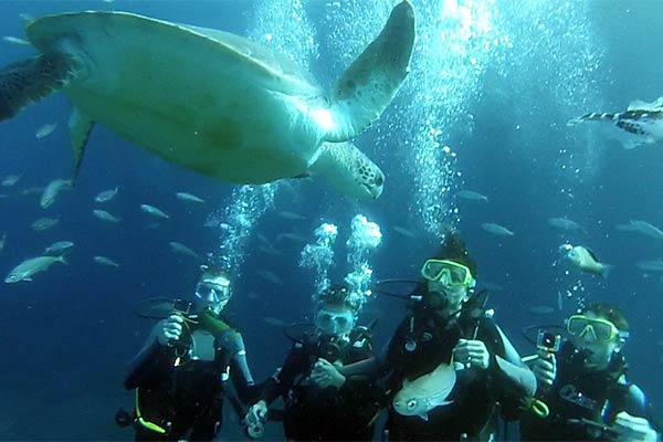 Try dive in Tenerife