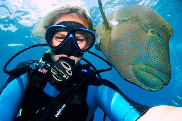 Bono regalo bautizo buceo - Tenerife