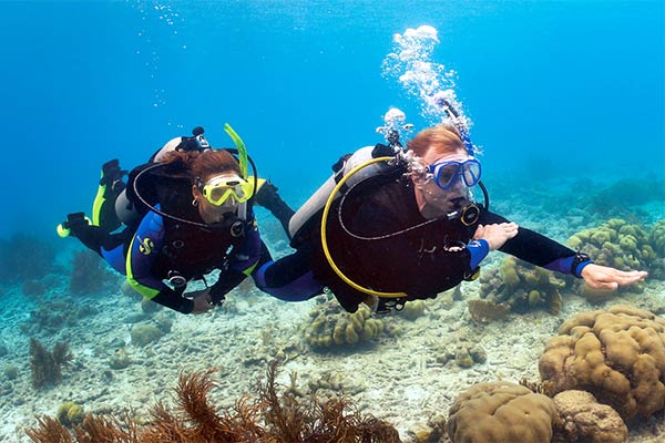 Try dive in Tenerife