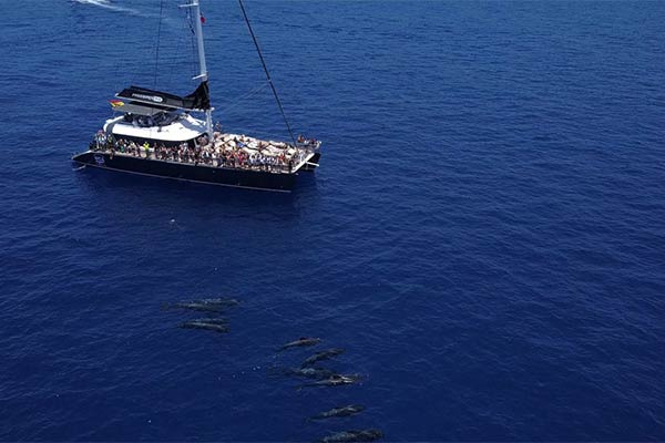 Catamaran 5, Tenerife