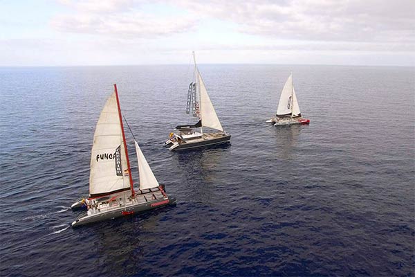 Catamaranes 4 y 7 - Tenerife