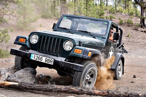 Excursión en Jeep al Teide - Tenerife